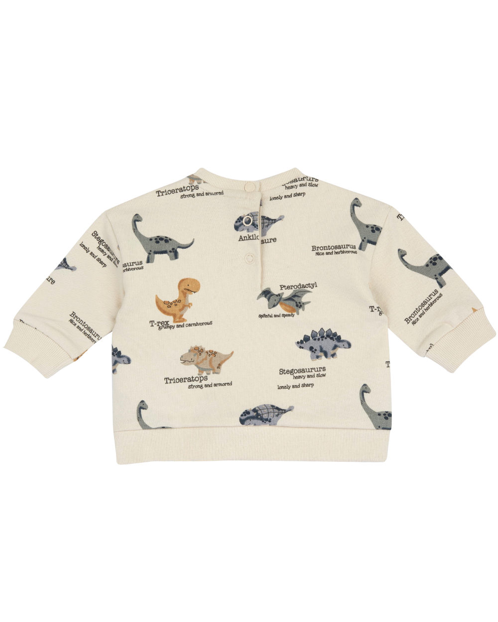 Sweatshirt Dinossauros