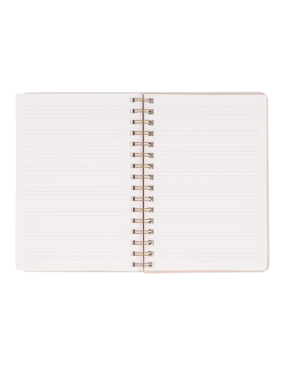 Caderno Escolar