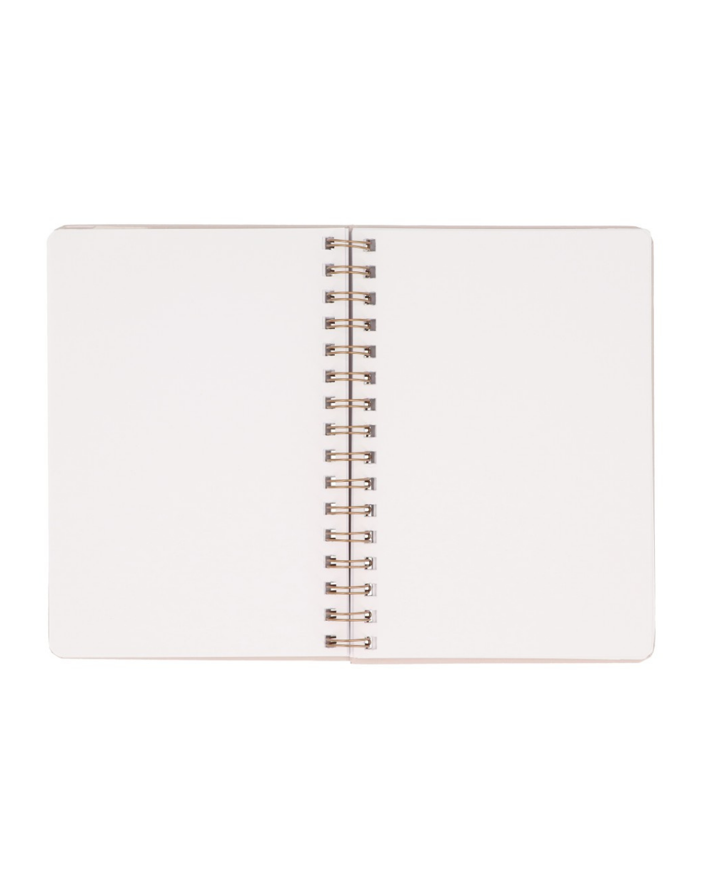 Caderno Escolar
