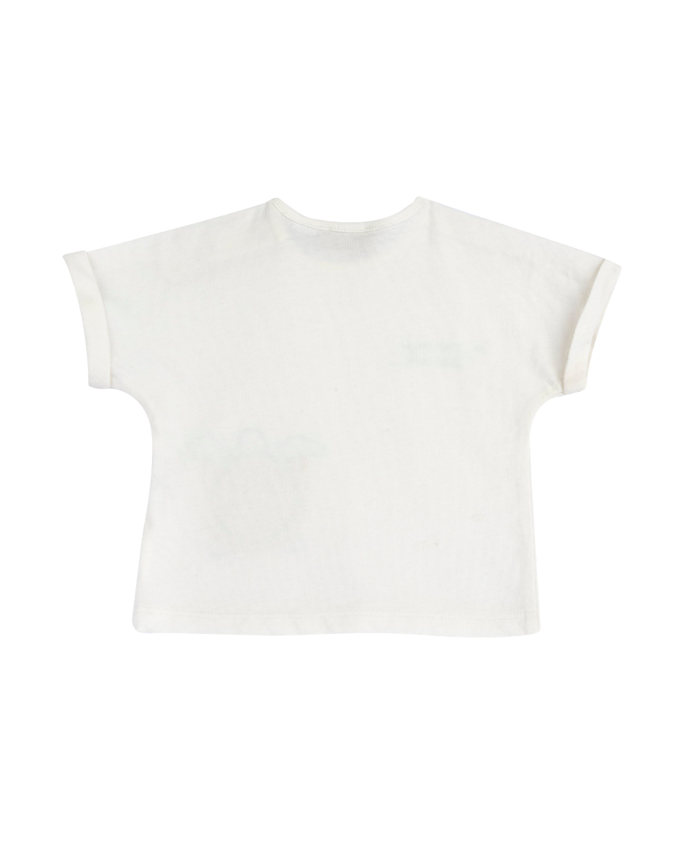 T-shirt de Algodão Tartarugas