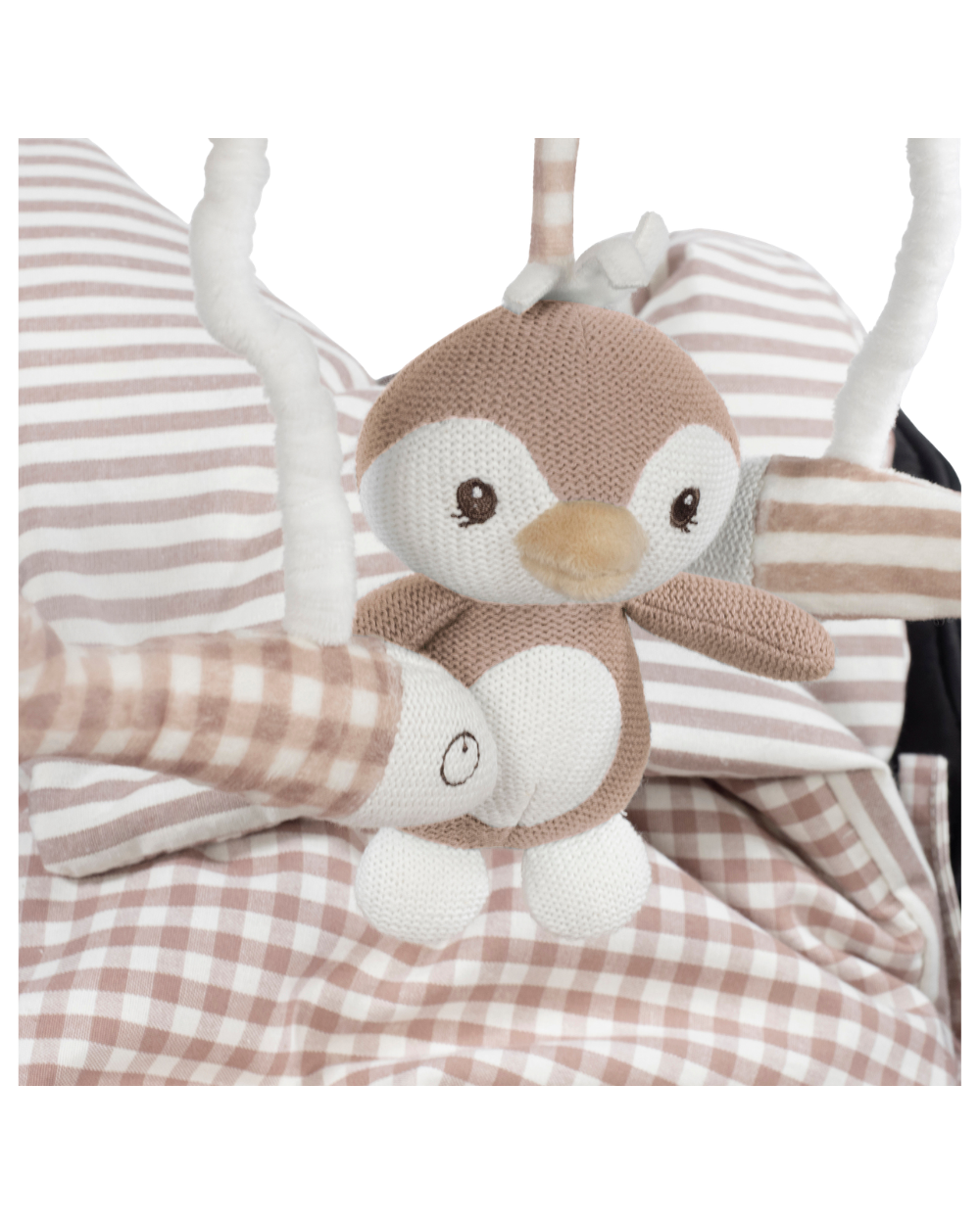 Espiral Pinguim Praliné | Moka