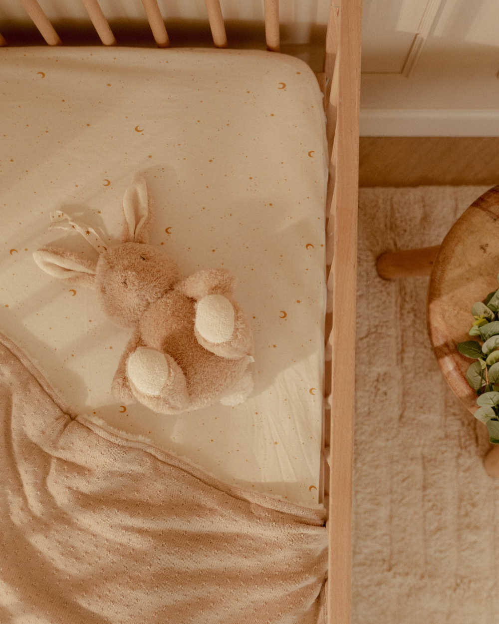 Coelhinho Light & Sound