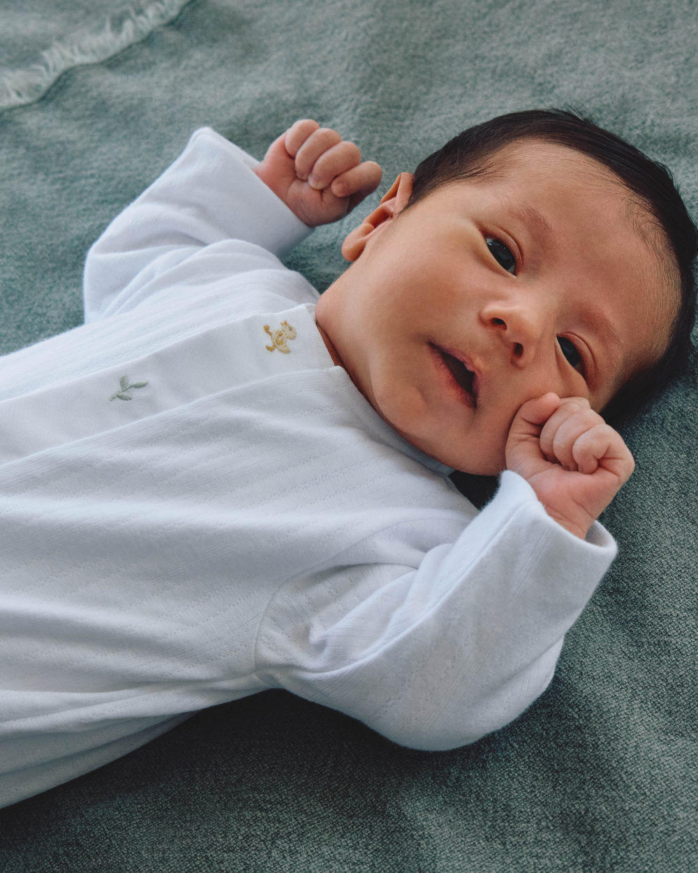 Babygrow Detalhe de Bordado