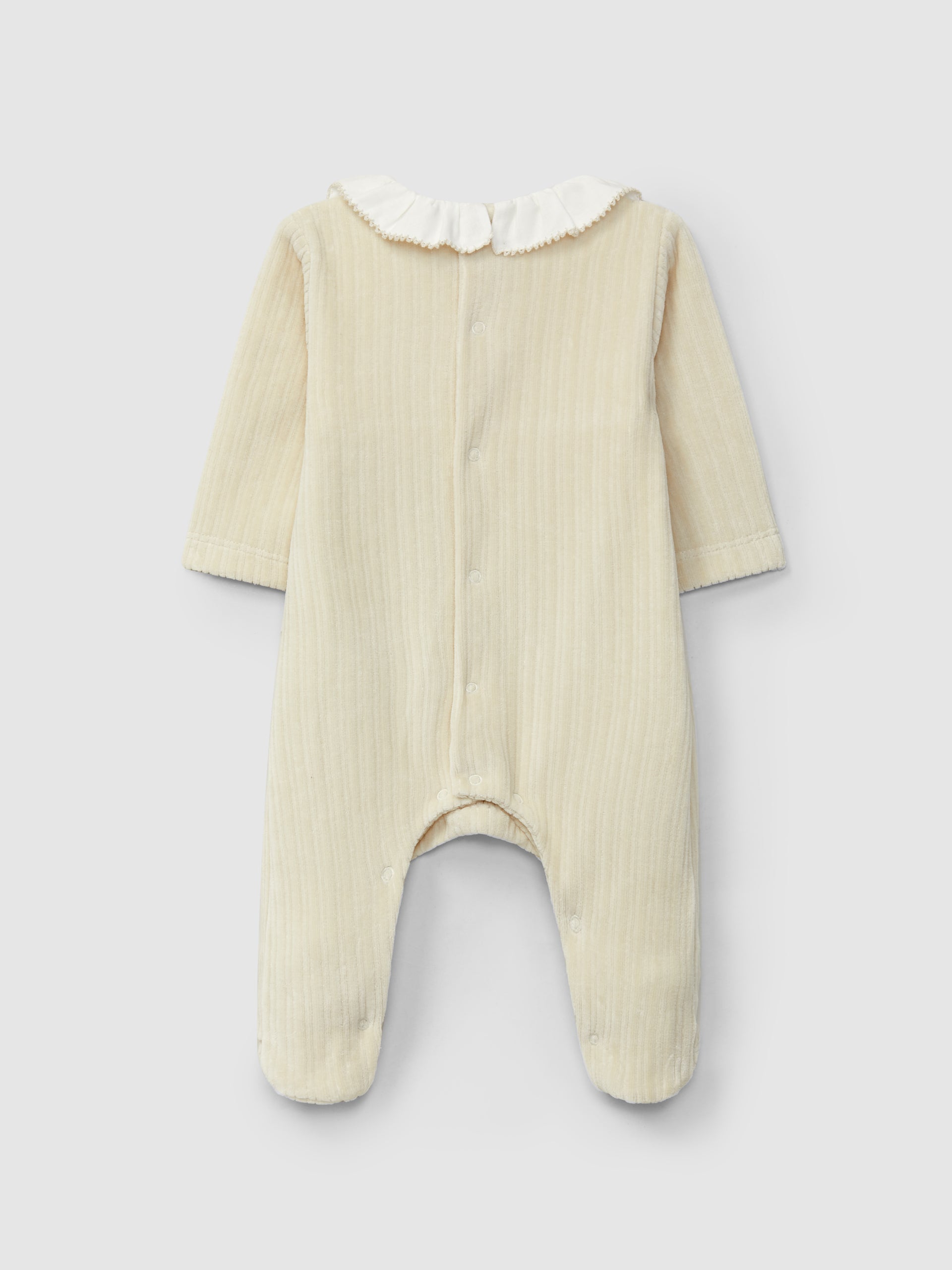 Babygrow Veludo Canelado Gola Folho