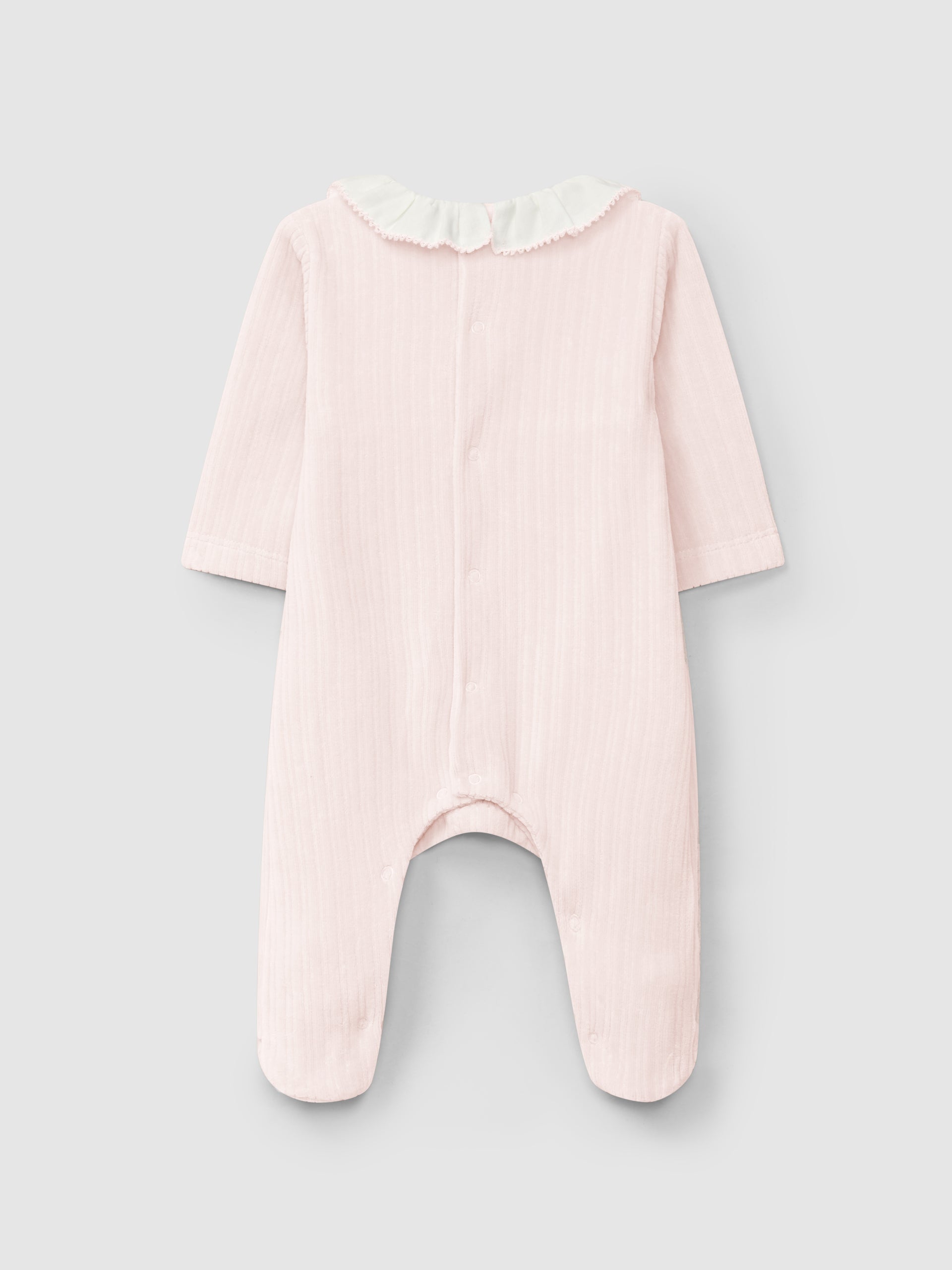 Babygrow Veludo Canelado Gola Folho