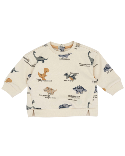 Sweatshirt Dinossauros