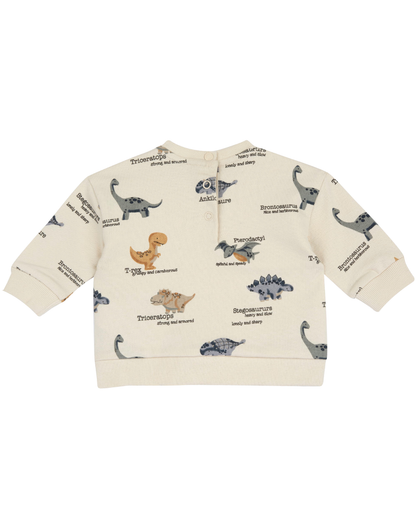 Sweatshirt Dinossauros