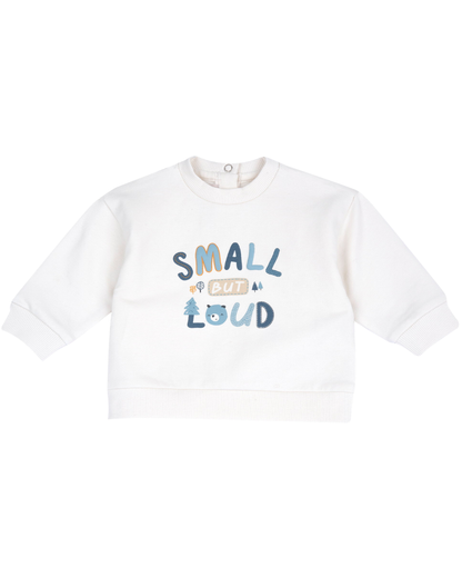Conjunto Sweatshirt/Calça Small