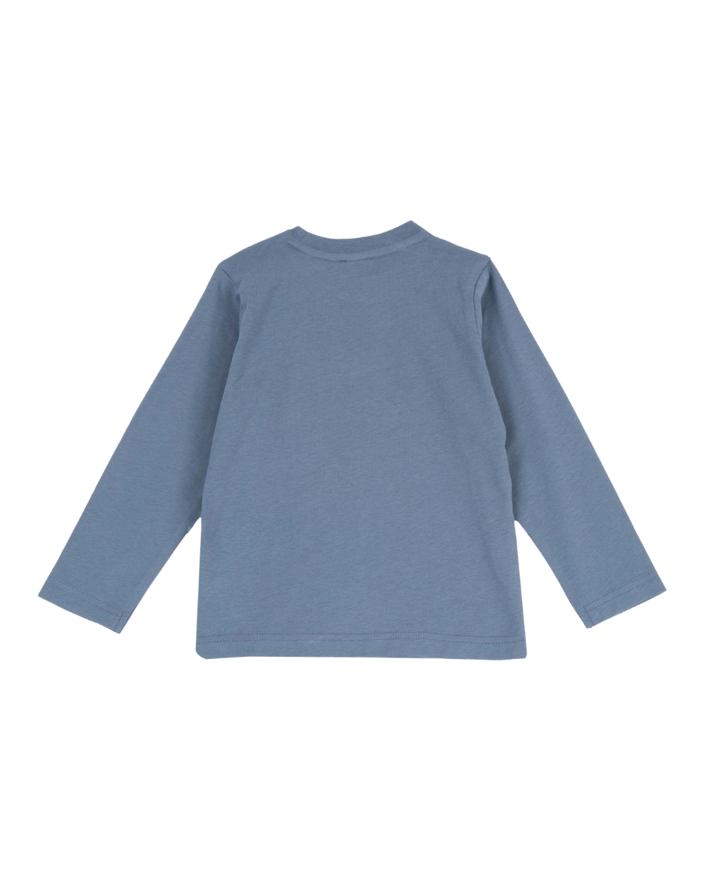 Longsleeve Manga Comprida Lisa