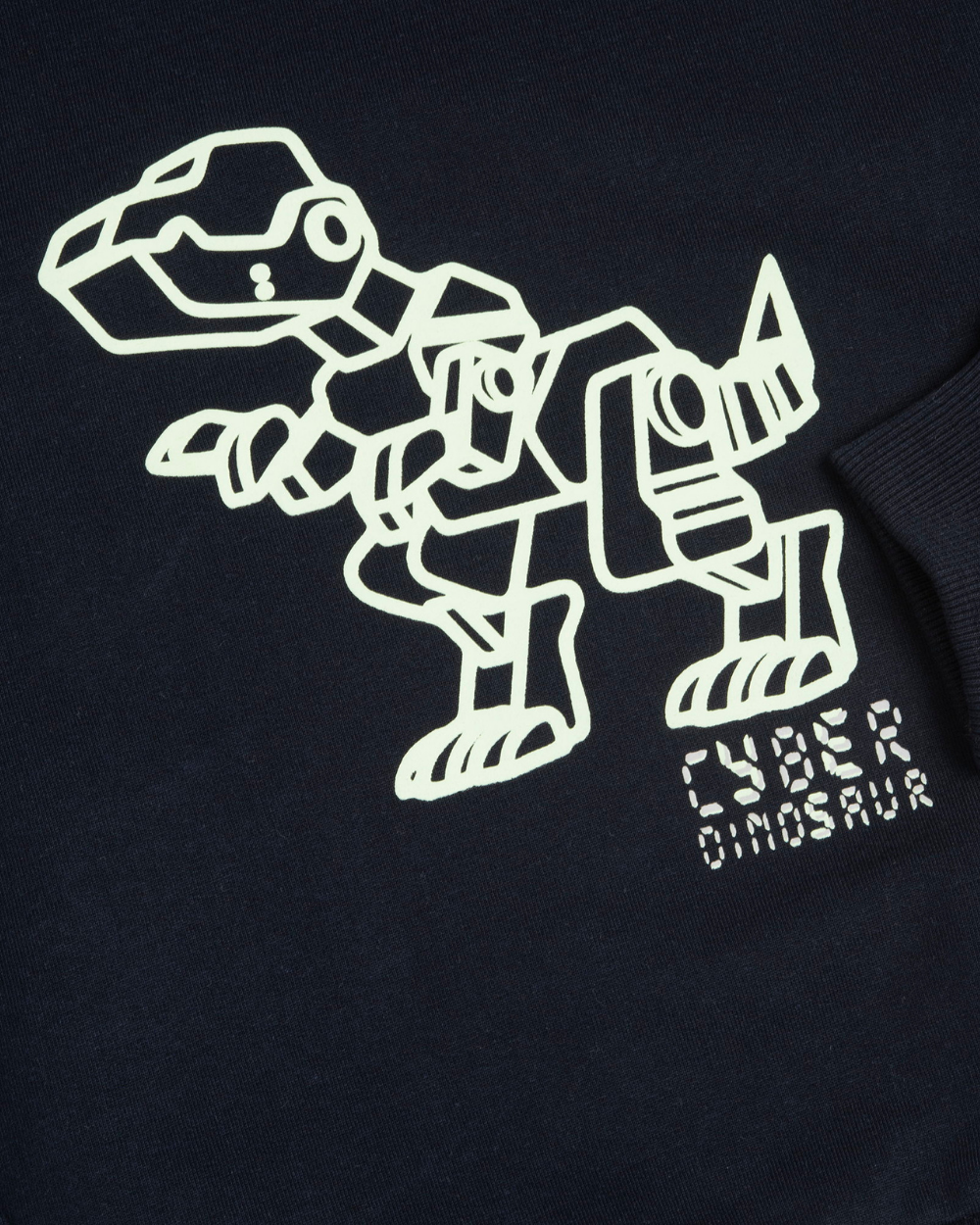 Sweatshirt Dinossauro Robot