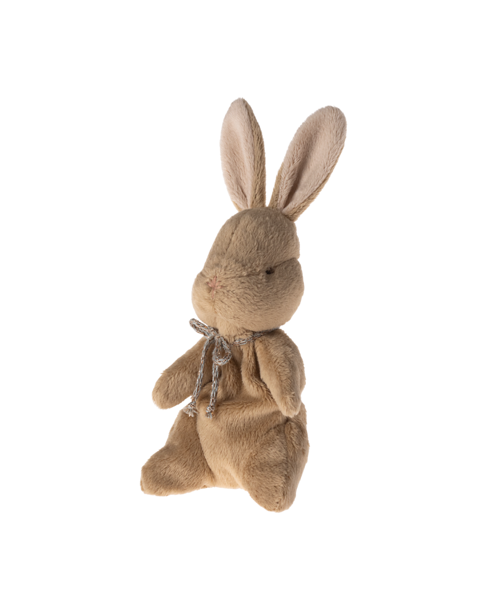 O Meu Primeiro Coelhinho - Brown