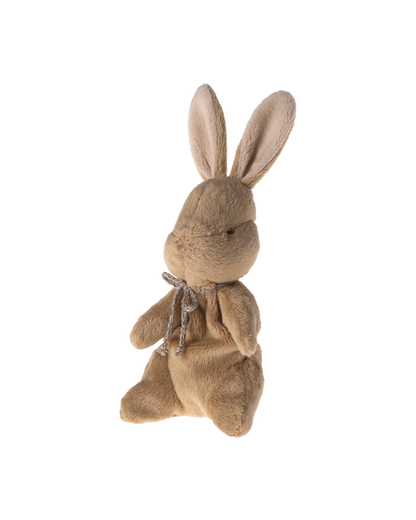 O Meu Primeiro Coelhinho - Brown