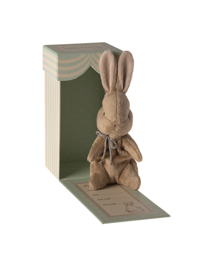 O Meu Primeiro Coelhinho - Brown