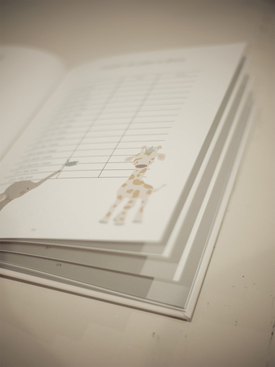 Livro do Bebé