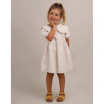 Vestido Small Brushes