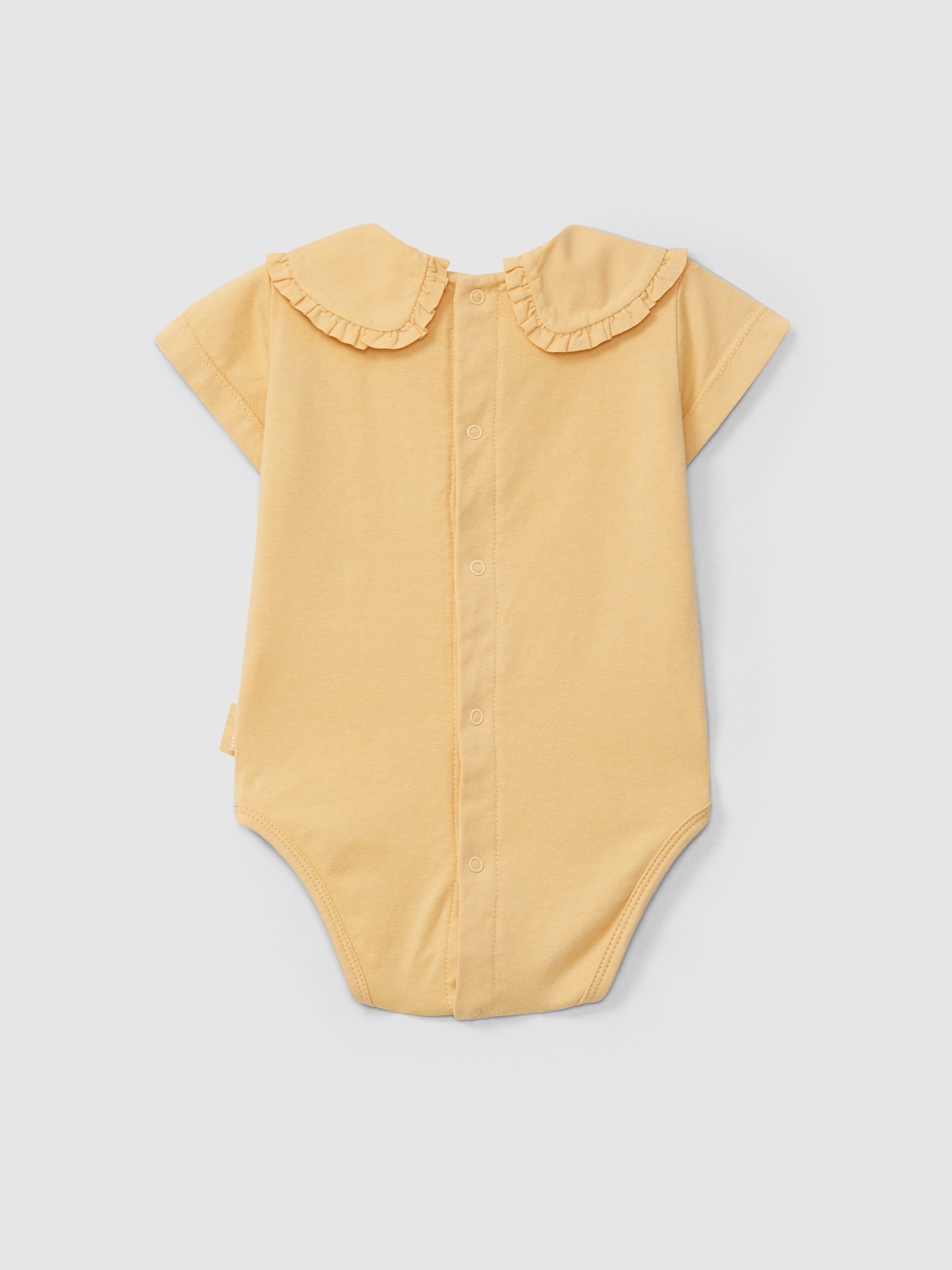 Fabric Collar Bodysuit with Ruffle Detail