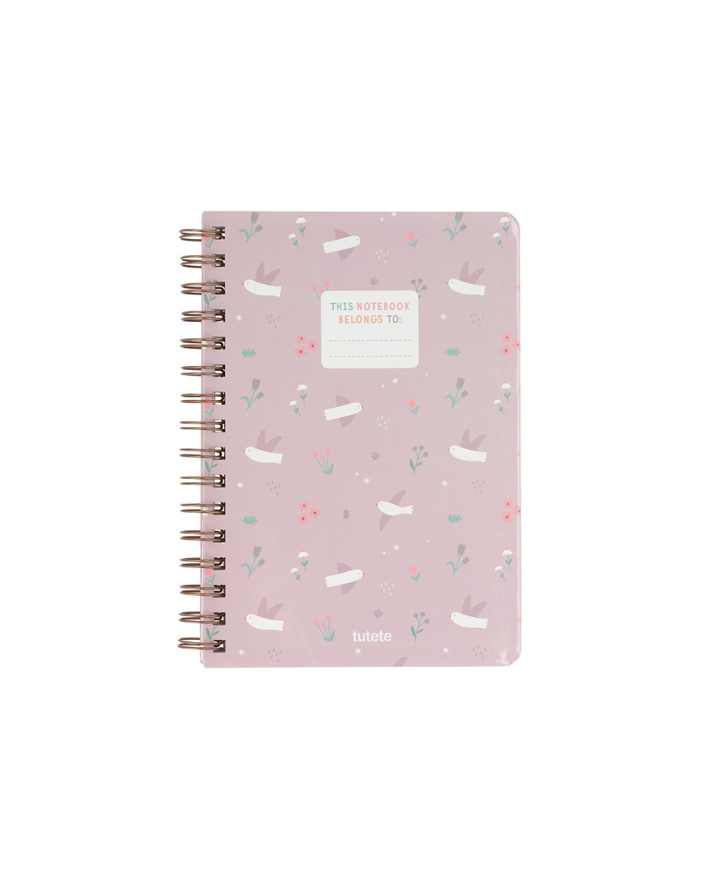 Caderno Escolar