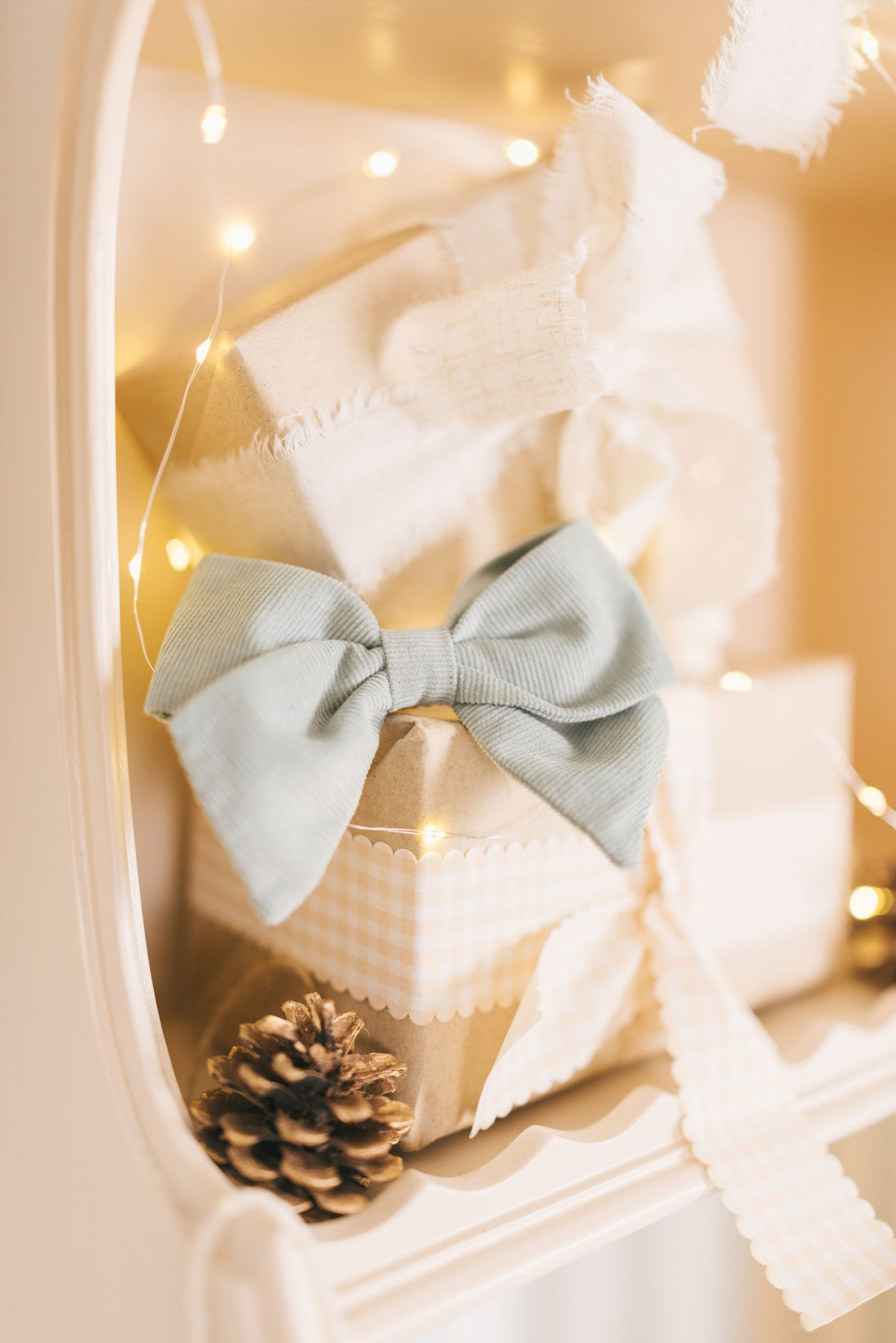 Laço de Cabelo Bombazine Aveludada