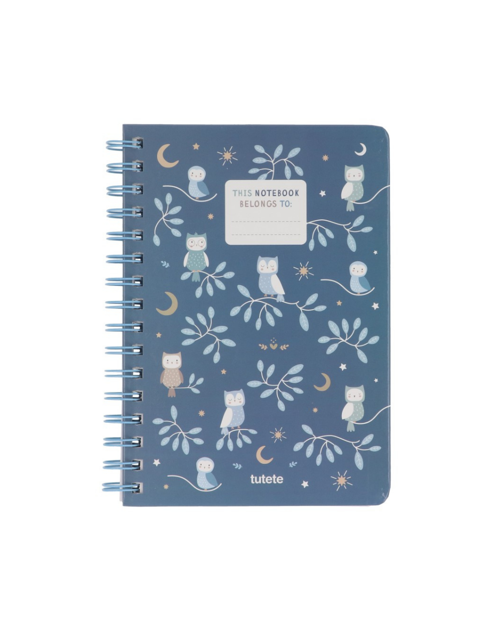 Caderno Escolar