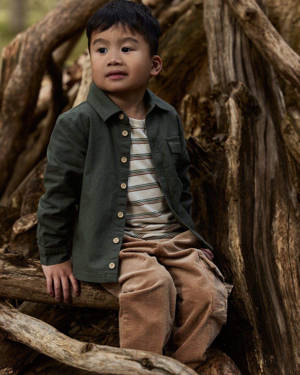Sobrecamisa | Safari Friends