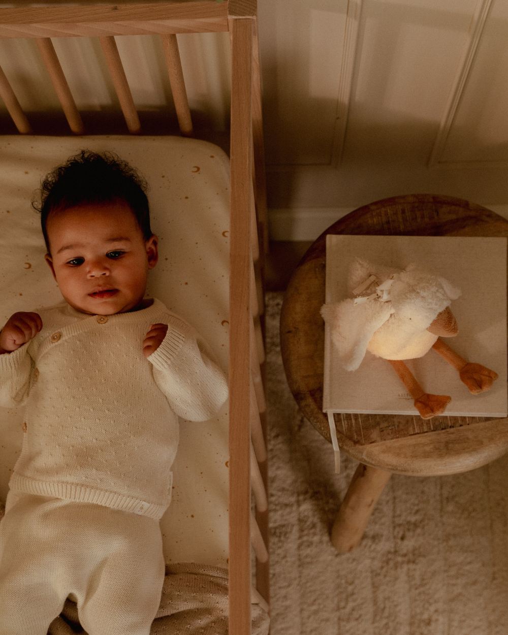 Goose Light &amp; Sound