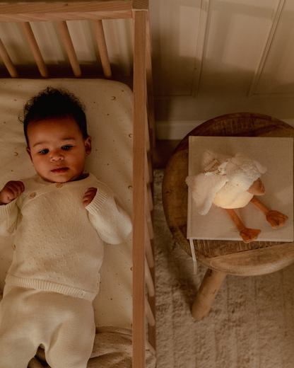 Goose Light &amp; Sound