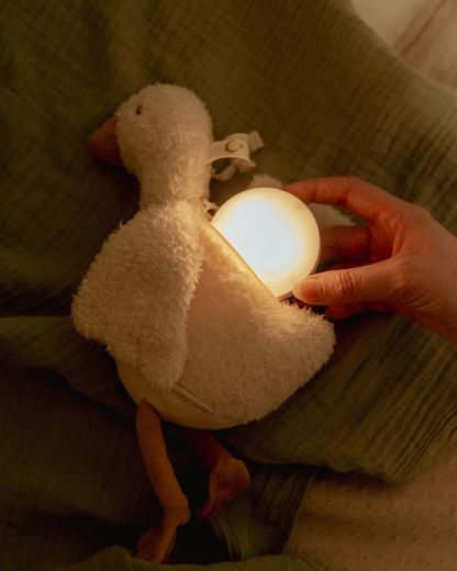 Goose Light &amp; Sound