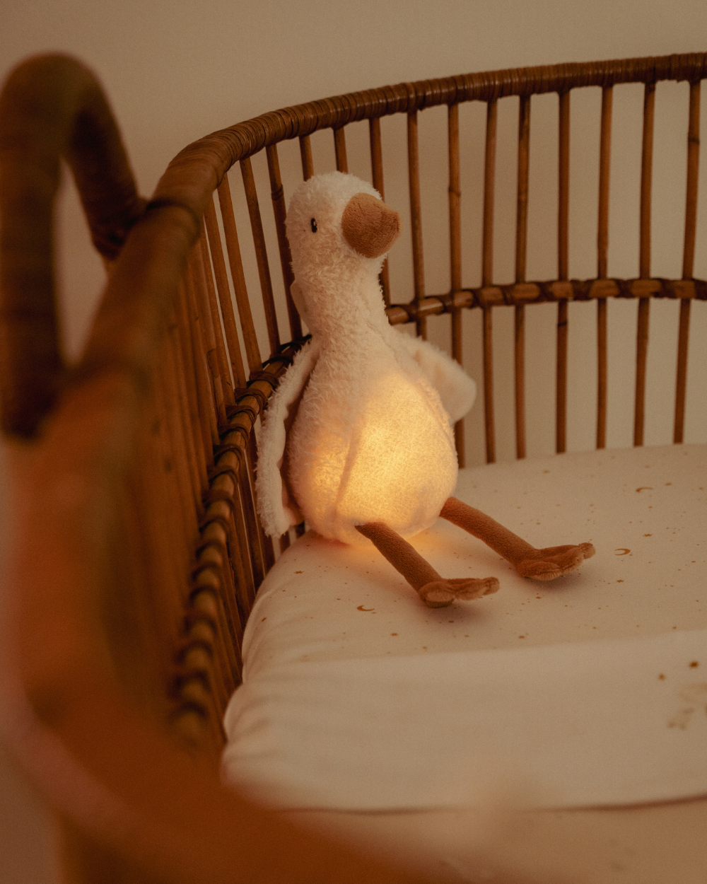 Goose Light &amp; Sound