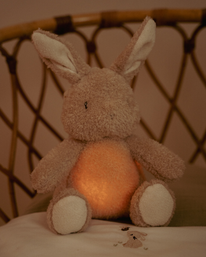 Coelhinho Light &amp; Sound