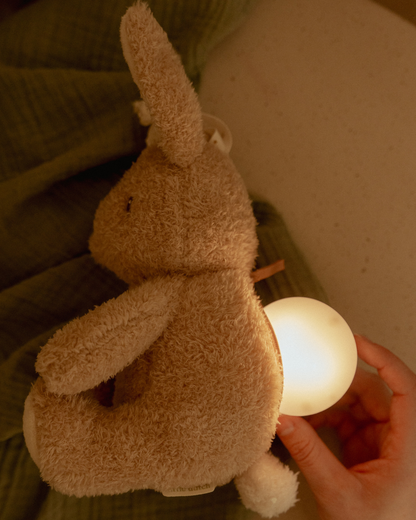 Coelhinho Light &amp; Sound