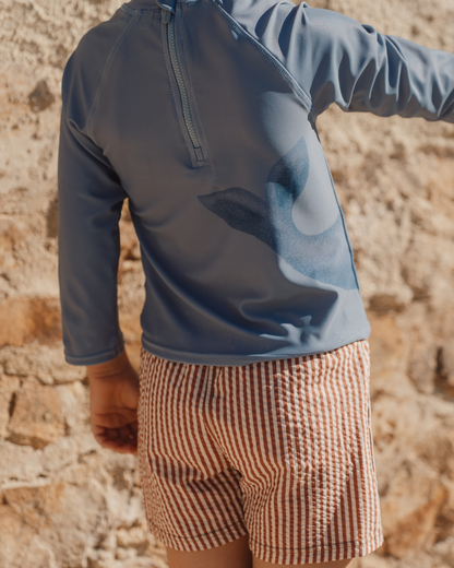 Calções de Banho | Ocean Brown Stripes