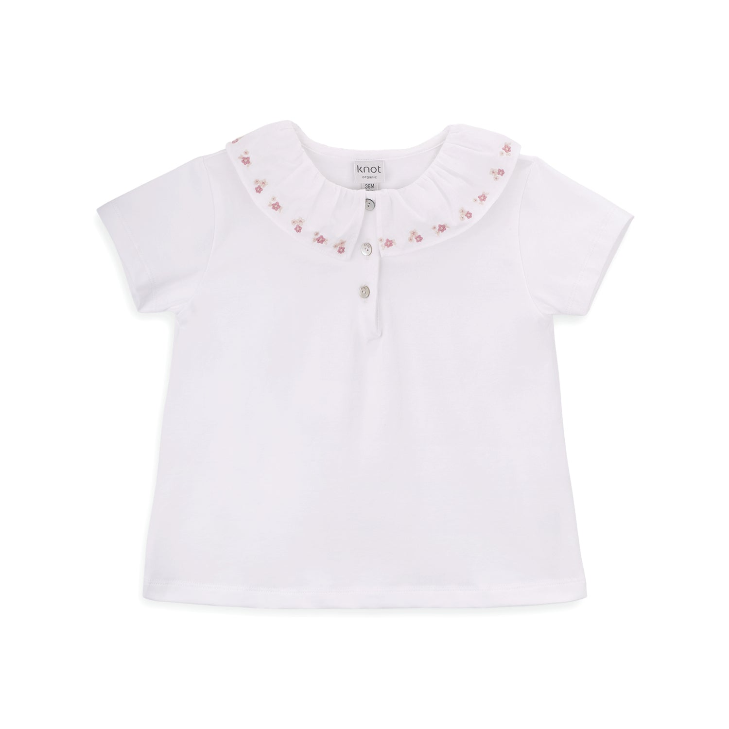 Polo Lorelai
