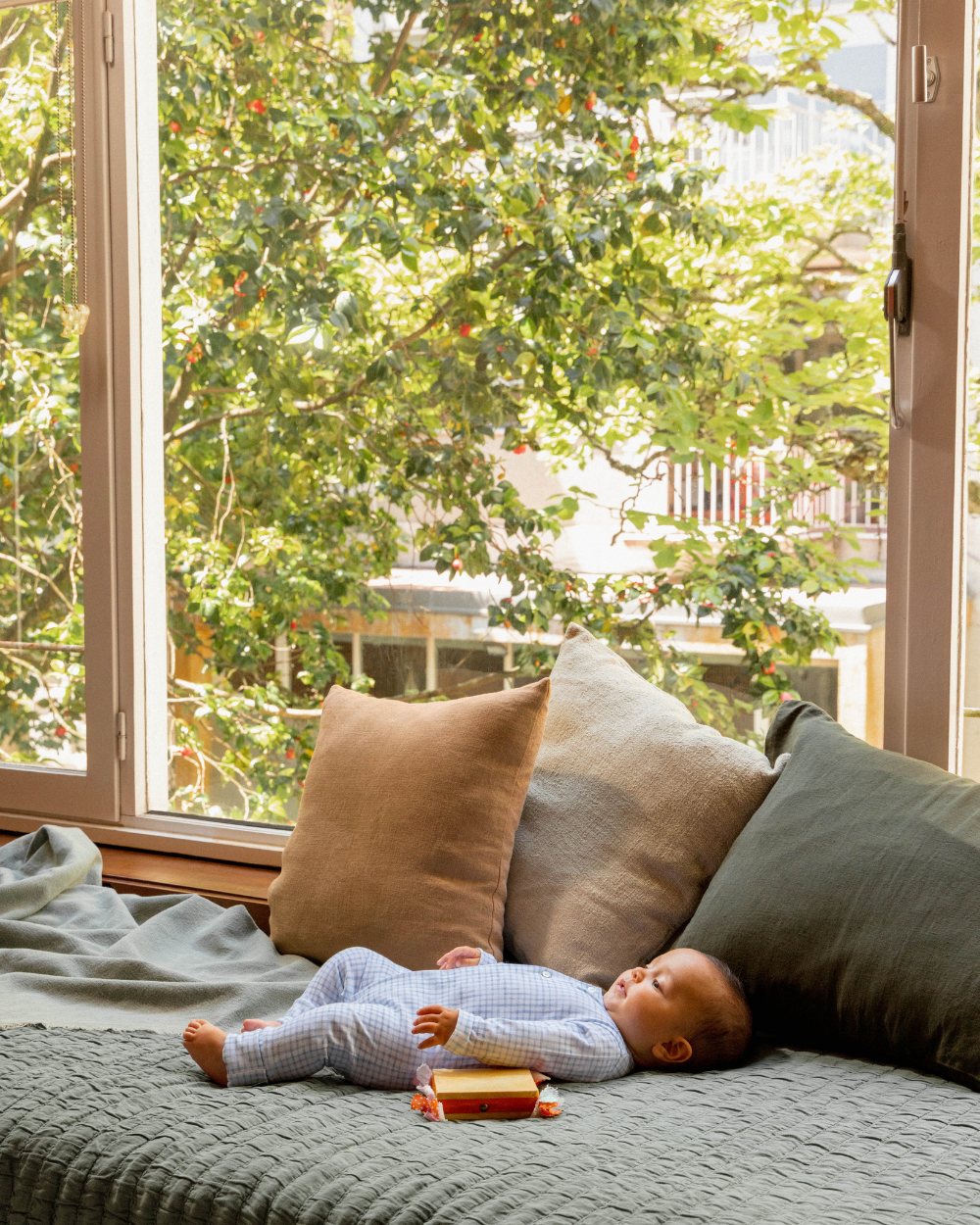 Babygrow Quadrícula sem Gola