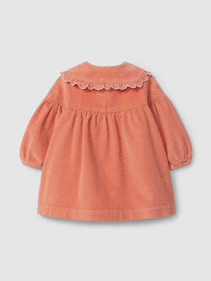 Vestido Bombazine com Bordado na Gola