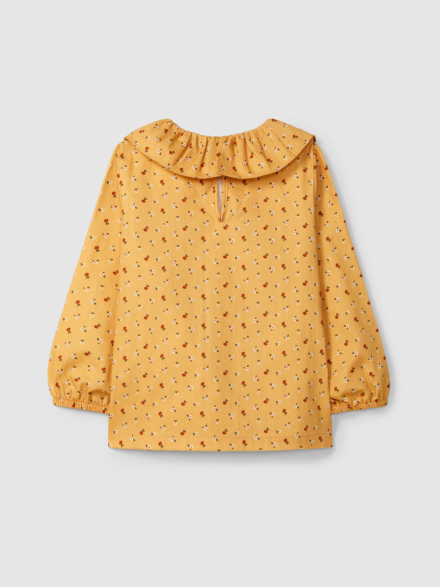 Blusa Floral e Gola de Folho