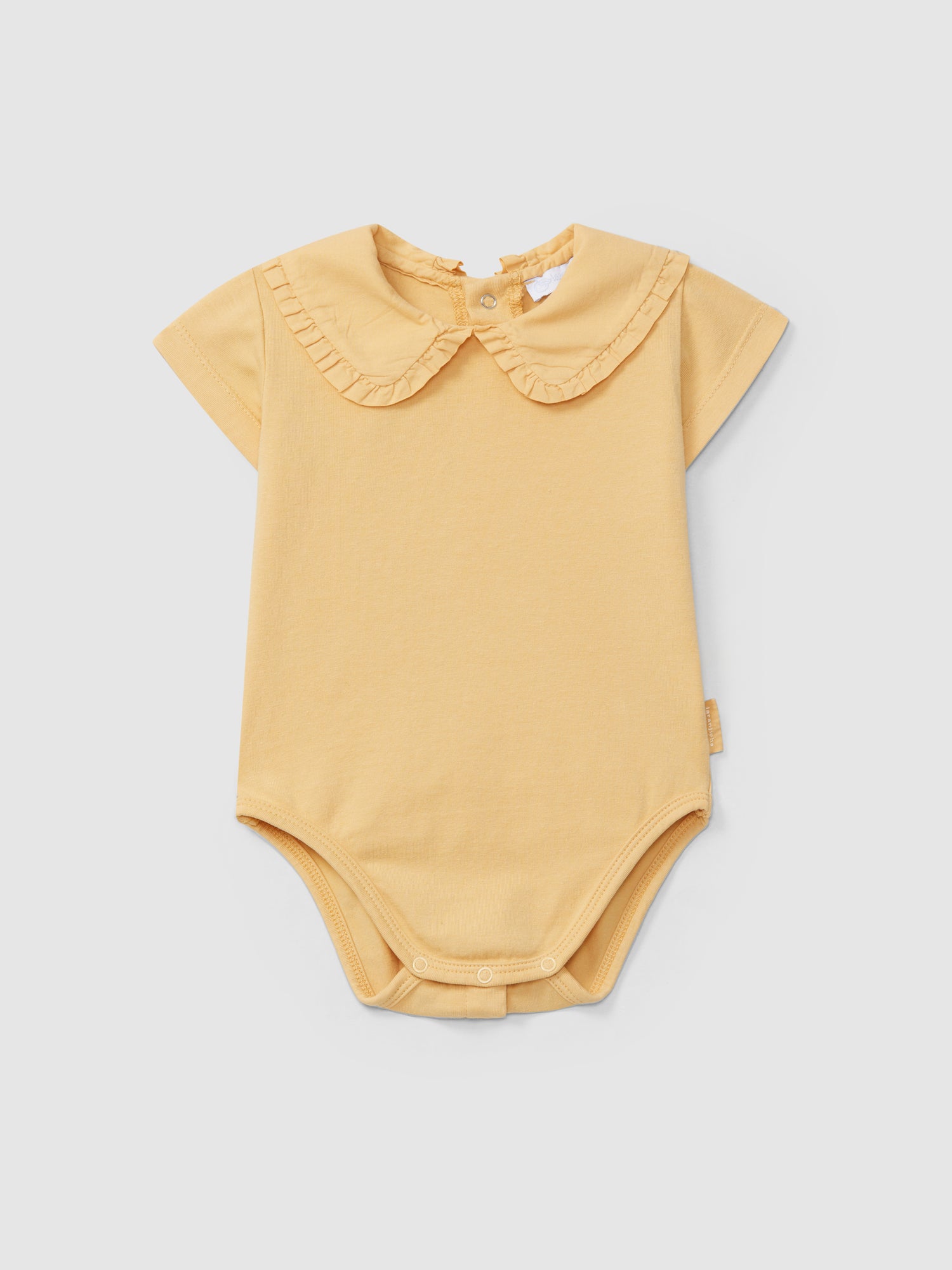 Fabric Collar Bodysuit with Ruffle Detail