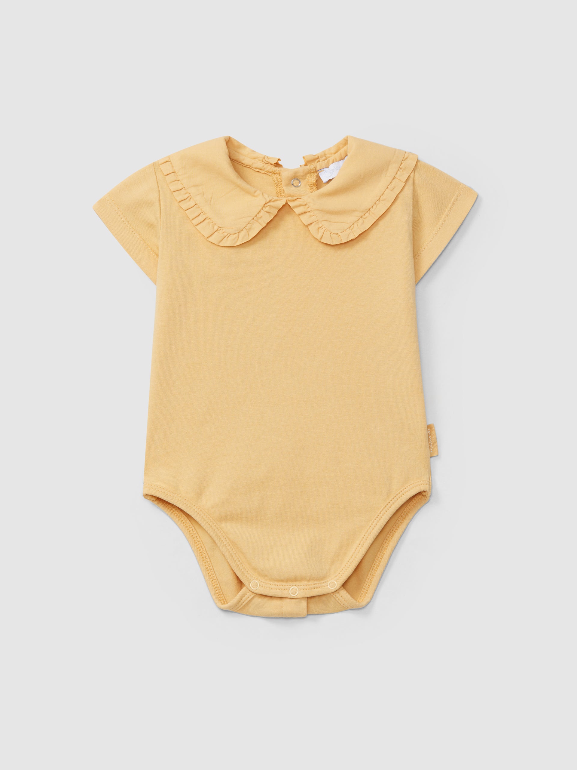 Fabric Collar Bodysuit with Ruffle Detail